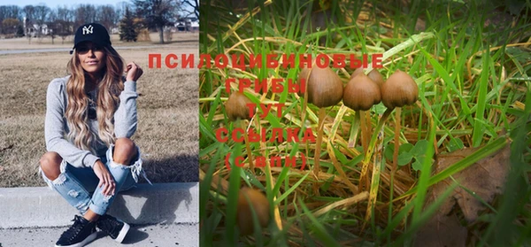 герыч Надым