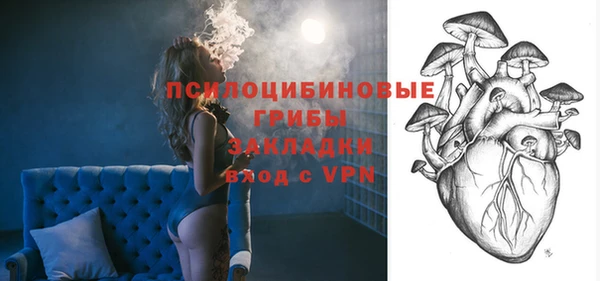 ГАЛЛЮЦИНОГЕННЫЕ ГРИБЫ Навашино